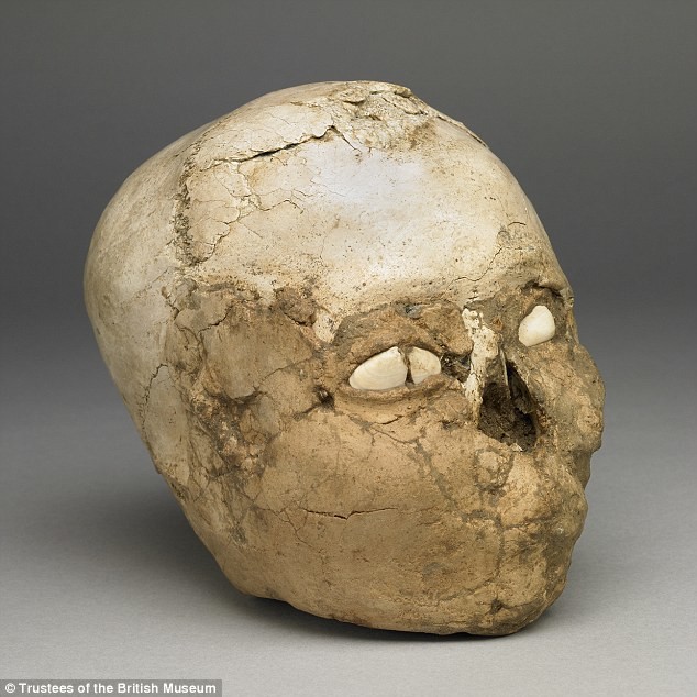 "Оштукатуренный" гипсом древний "иерихонский череп", с ракушками, вложенными в глазницы