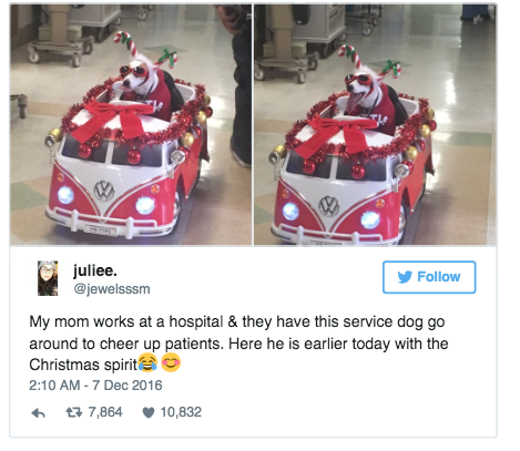 Пациенты и посетители радуются и постят фотки в твиттере