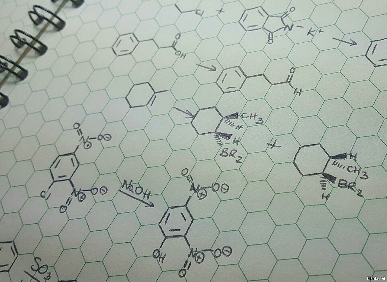 Тетрадь по органической химии с шестиугольниками