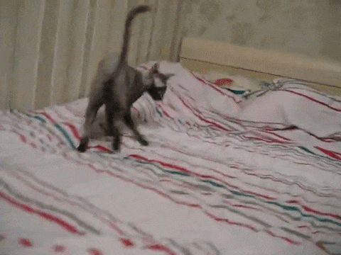 Нашло что-то