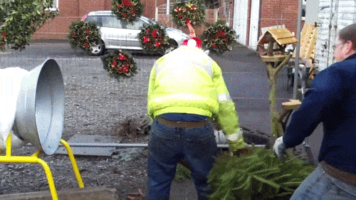 Упаковали "елочку"