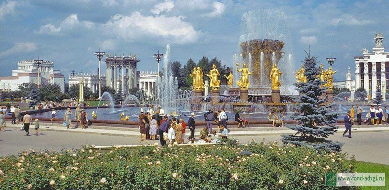 Розарий и голубые ели у фонтана "Дружба народов".