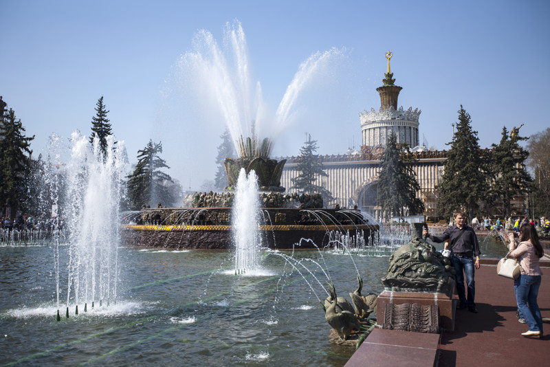 Голубые ели гармонично вписывались в композицию фонтана "Каменный цветок" и павильона Украина.