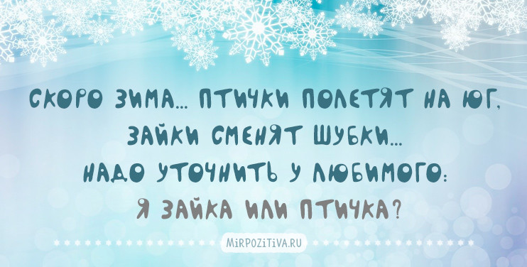 Смешные статусы про зиму. Смешные высказывания про зиму. Смешные фразы про зиму. Красивые высказывания о зиме. Цитаты про зиму прикольные.