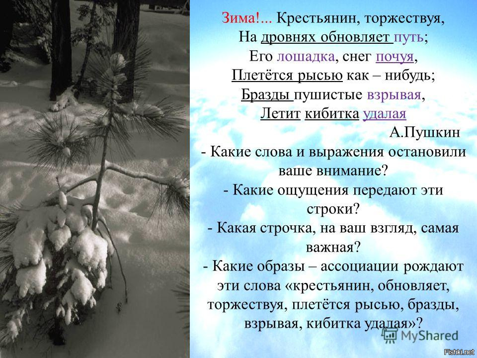 Стихотворение зима крестьянин. Зима крестьянин торжествуя. Зима крестьянин торжествуя на дровнях. Лошадка снег почуя плетется рысью. Зима крестьянин торжествуя на дровнях обновляет путь его лошадка.