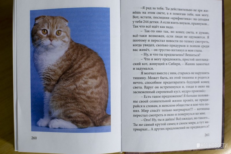 Новосибирец написал книгу в память об умершем от рака коте