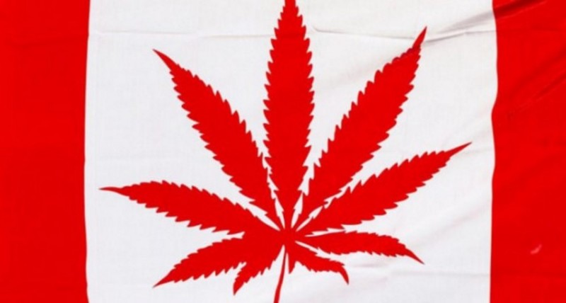 Канада полностью легализует марихуану 20 апреля 2017 года [ 