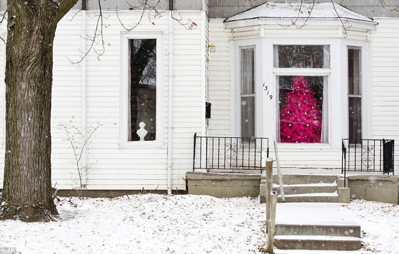 Розовая рождественская елка видна через окно заснеженного дома в Омахе, штат Небраска. 