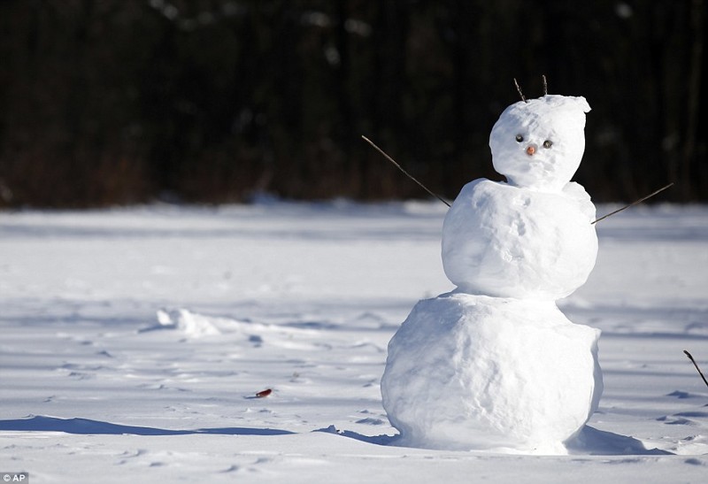 Снеговик в парке в Prospect Heights, штат Иллинойс