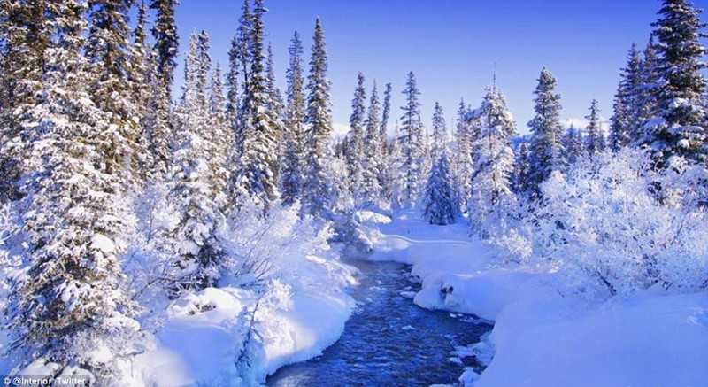 "Открытка" от Службы национальных парков Аляски, выложенная ими в Twitter, чтобы отпраздновать предстоящий зимний солнцеворот