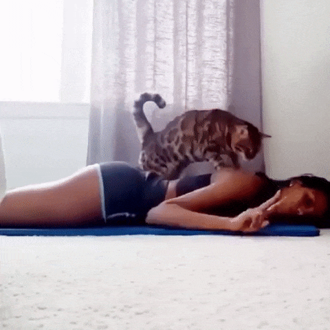 Лучший массаж