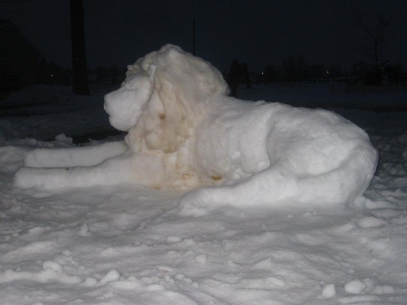 Снежный лев 