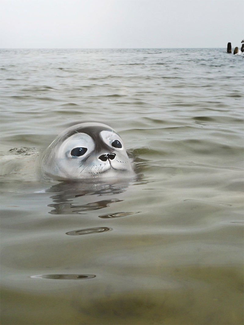 Выглядывающий из воды тюлень   