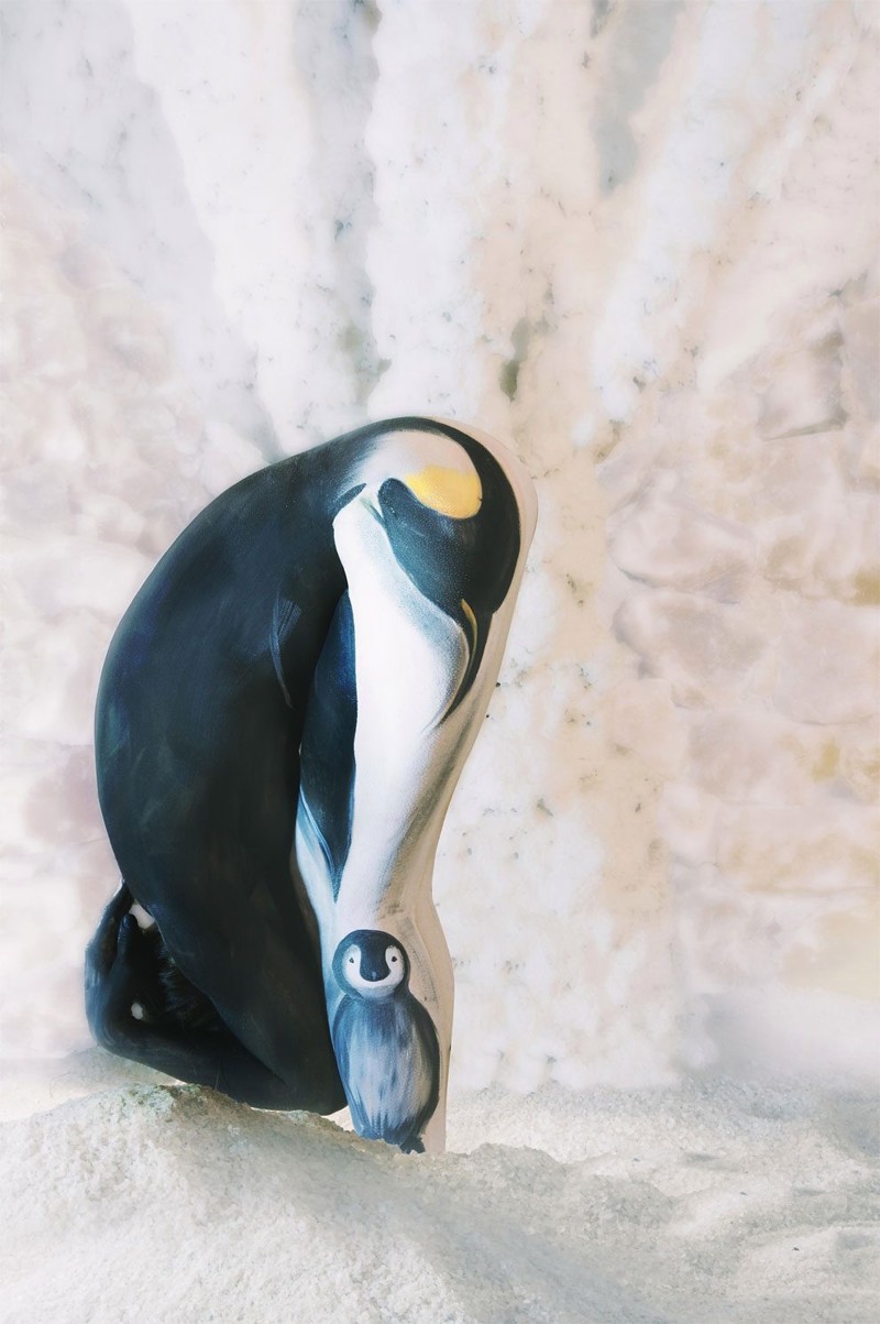 Пингвин с детёнышем   