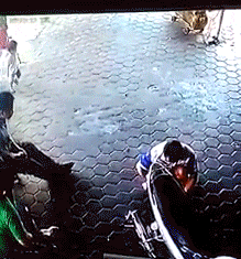 Отцовское чутье Отцовское чутье