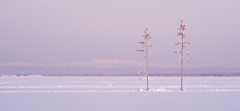 Карелия: озеро Куйто, Ладожское озеро Средняя температура: −9 −13 °C