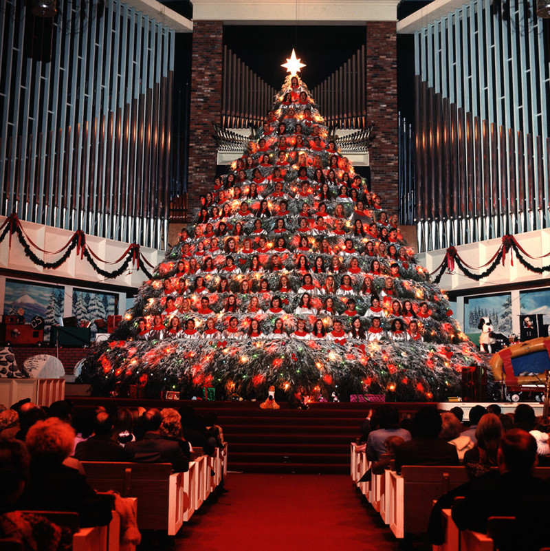 "Живое" рождественское дерево, 1971 год