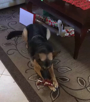 Каждому по подарку