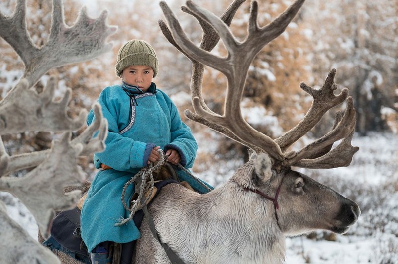 Один день из жизни монгольской семьи оленеводов