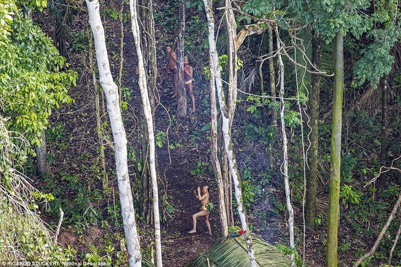 Первый контакт: невероятные фотографии аборигенов Амазонки