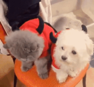 Это ухо так и манит