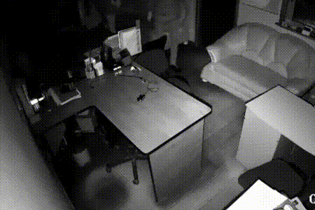 Очень самонадеянный вор