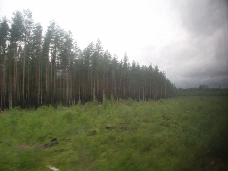 Остаются уже последние километры до конечной станции. Пейзаж сильно напоминал мне какое-то место в Ленинградской области.