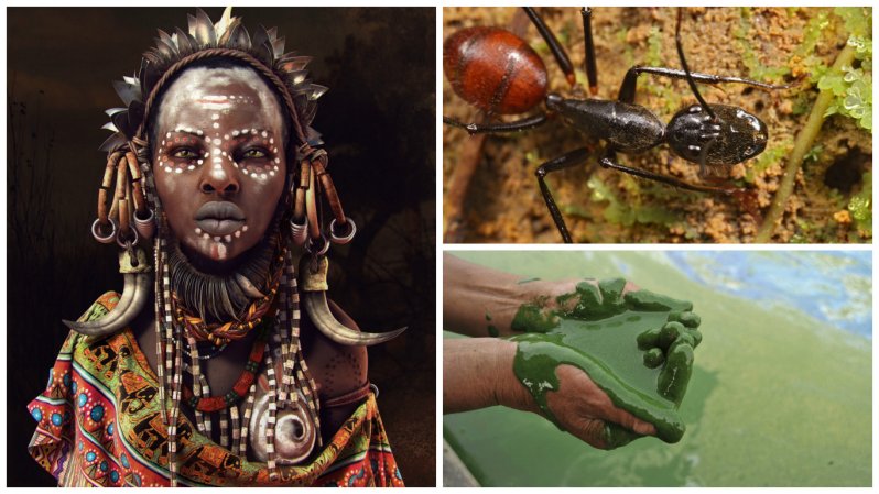 13 поражающих способов лечения болезней в Африке
