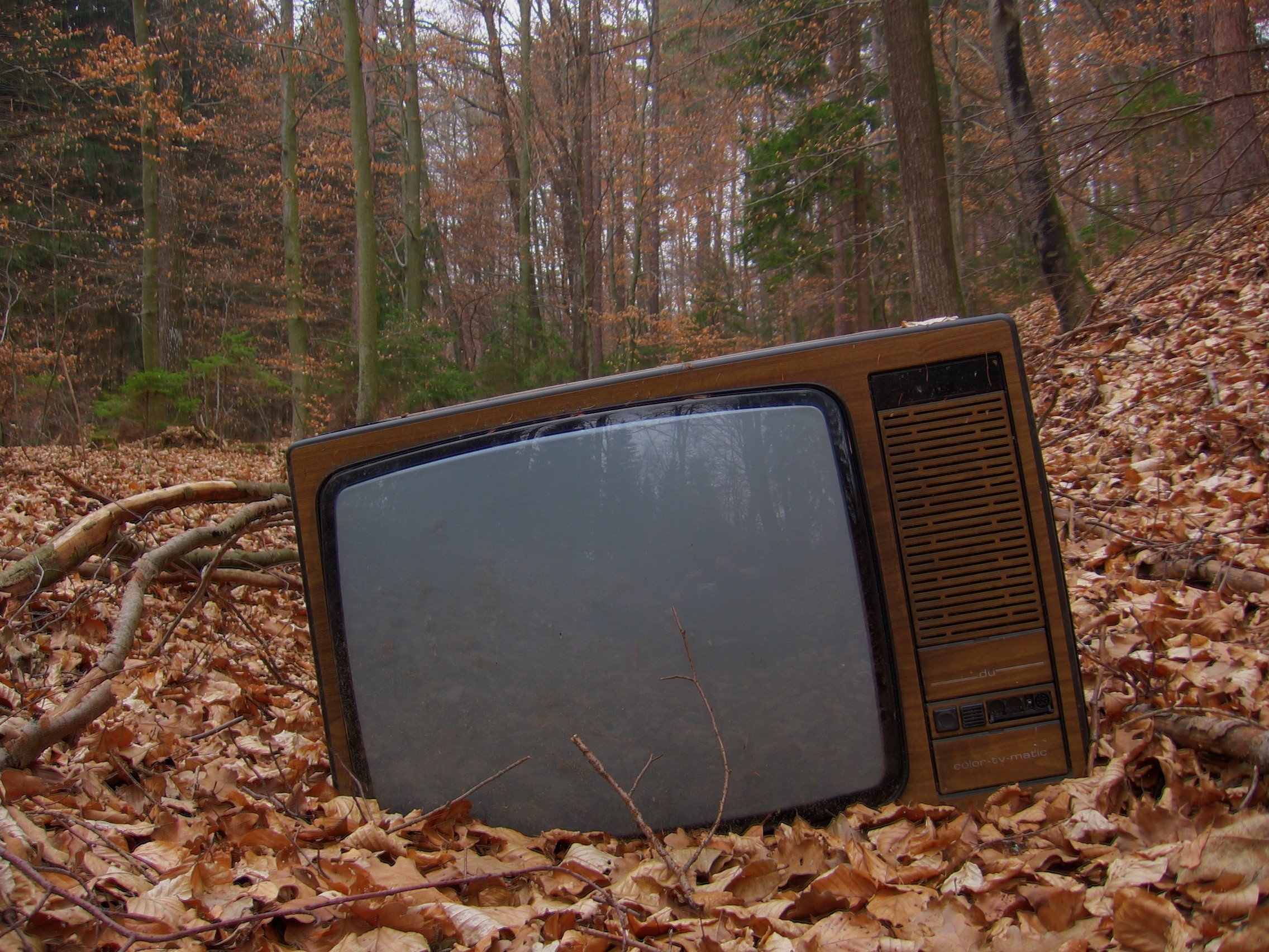 Покупать телевизор бывшие. Старый телевизор. Старинный телевизор. Телевизор в лесу. Советский телевизор.
