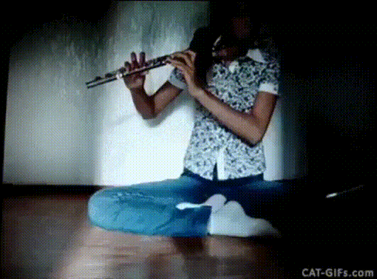 Немного гифок