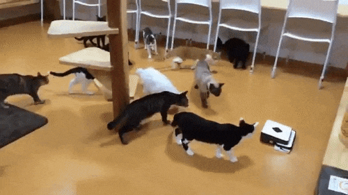 Еще немного гифок