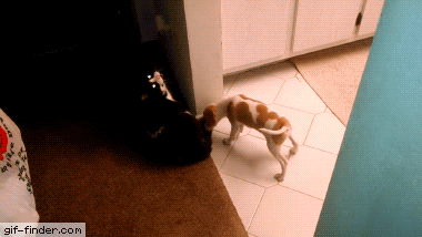 Еще немного гифок