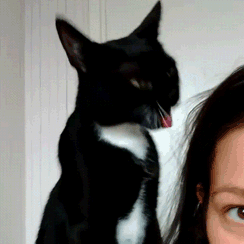 Еще немного гифок