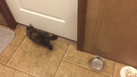 Еще немного гифок