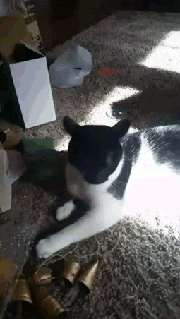 Еще немного гифок