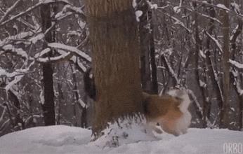 Еще немного гифок