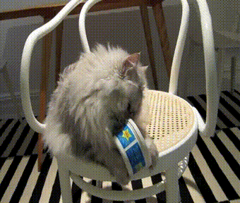 Еще немного гифок