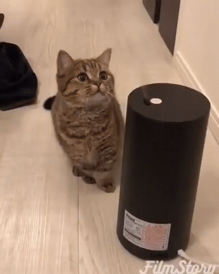 Еще немного гифок