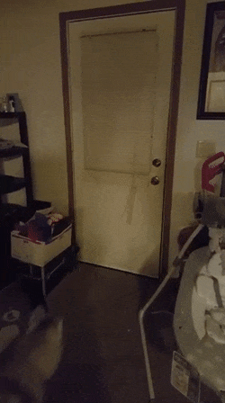 Еще немного гифок