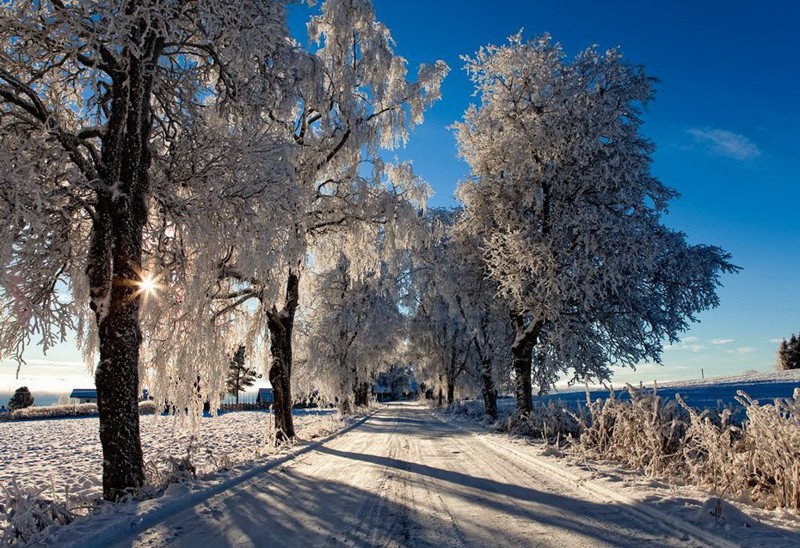 Зимняя красота со всего света
