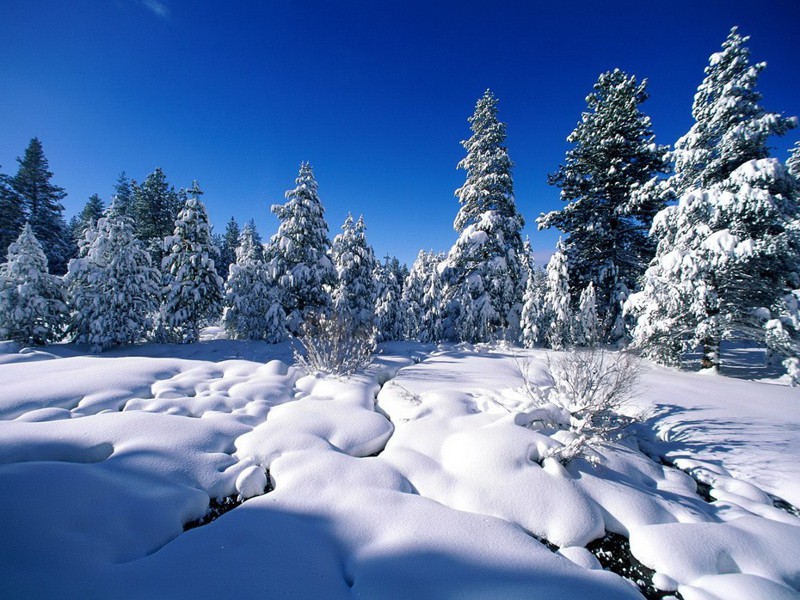 Зимняя красота со всего света