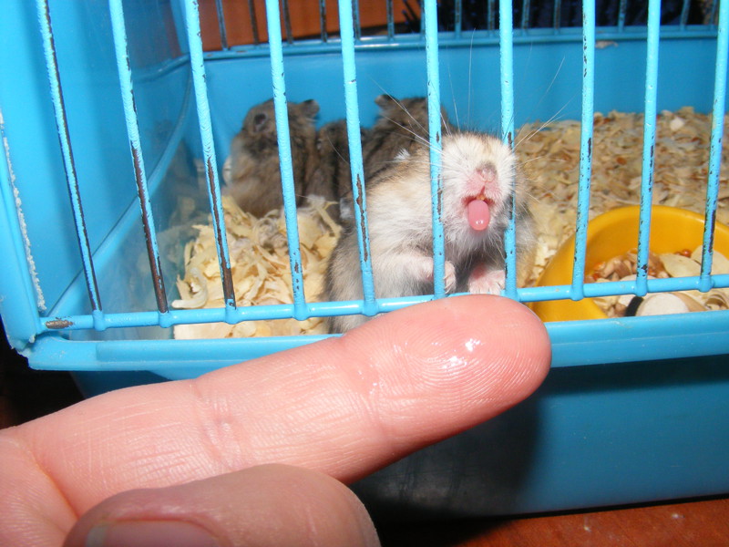 утро 1 января бывает и таким !!!