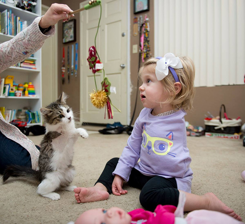 Эта двухлетняя девочка и крохотный котенок оба пережили страшные трагедии.