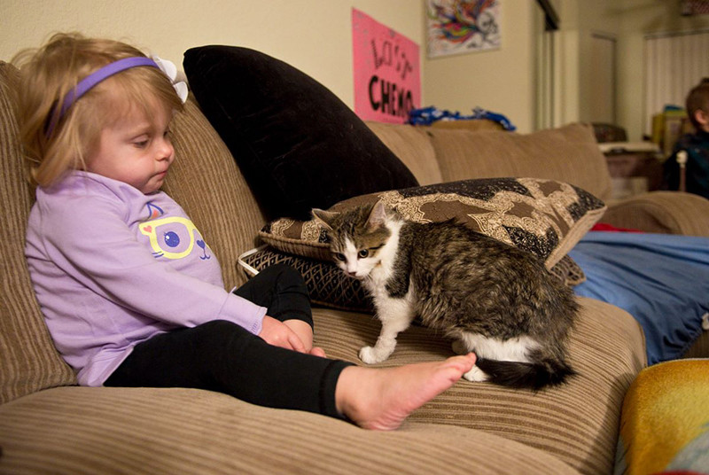 Они нашли друг друга в канун Рождества, когда родители Скарлетт услышали о котенке по телевизору. девочка, инвалид, котенок, трогательное