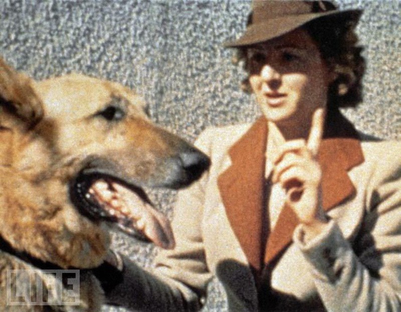 13. Ева Браун и одна из собак Гитлера. 1943 год. 