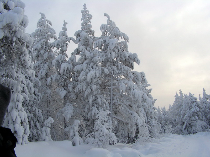 Зима Уральская 2016 год