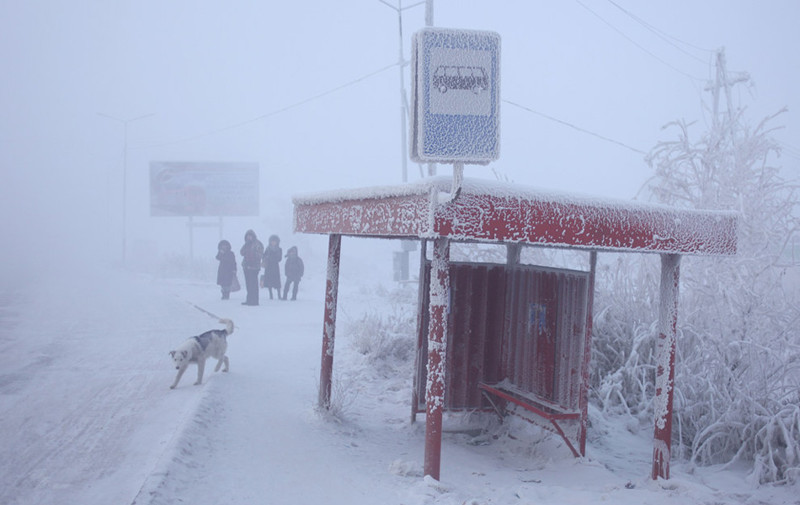 Как живут на якутском Полюсе холода