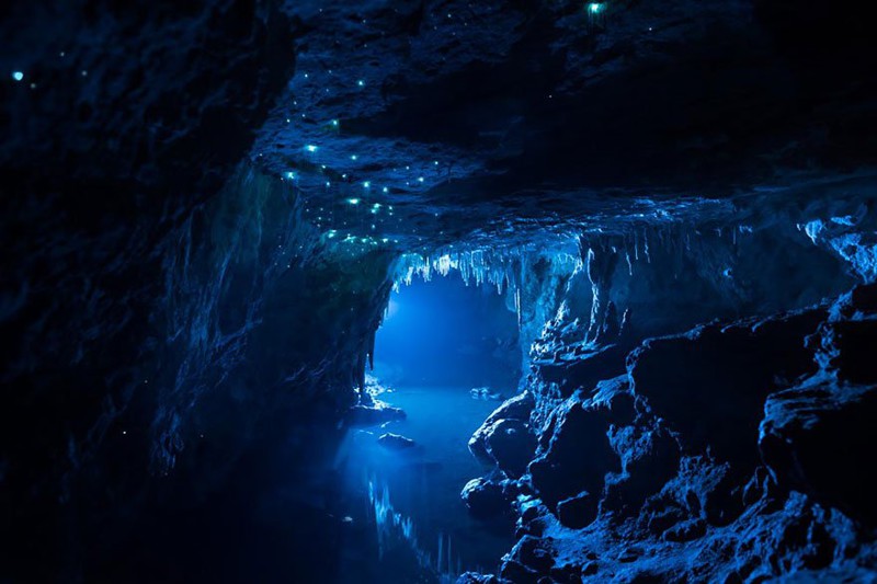 Новая Зеландия — Пещера Светлячков