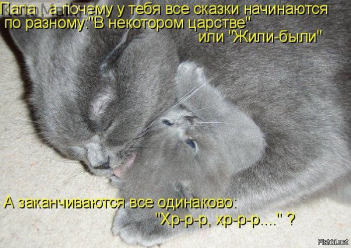 Жили были все одинаковые. Коты с надписями. Коты приколы с надписями. Смешные котята с надписями. Смешные коты с надписями.