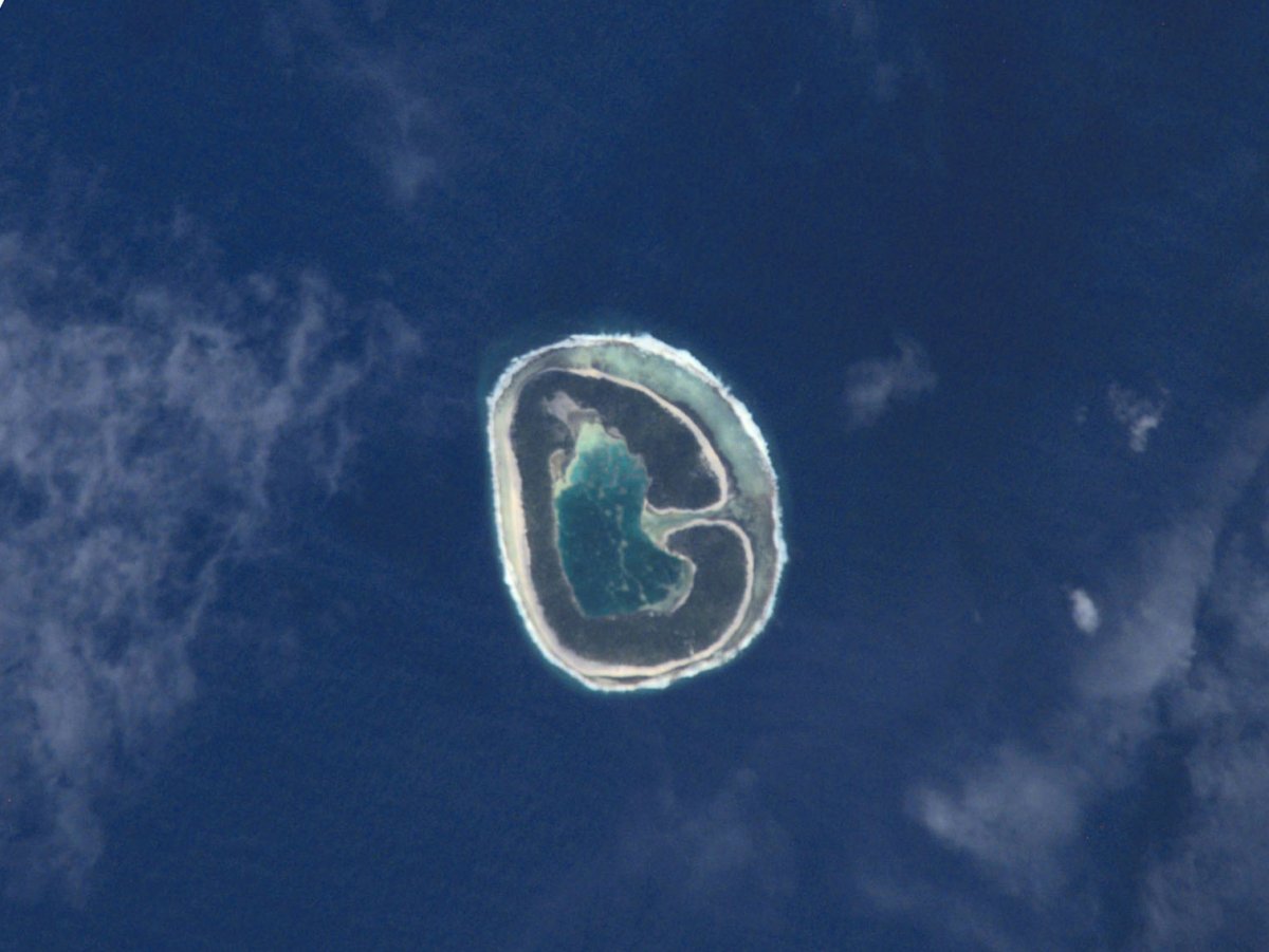 Обезьянки из космоса. Буква к на земле фото. Снимок с космоса 1959 змеи. Облачные земли в письменности. G island